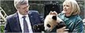 Stephen Harper wraps up China trip with hands on pandas and politics