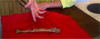 Human bone mystifies heritage home buyer