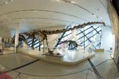 March Break at the ROM