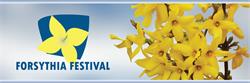 Forsythia Festival