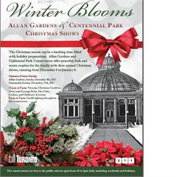 Allan Gardens Conservatory Christmas Flower Show 