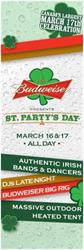 St. Party's Day 