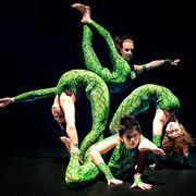 TORONTO INTERNATIONAL CIRCUS FESTIVAL - A mixture of comedy, acrobatics and daredevils