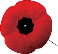 Remembrance Day Service - Scarborough Civic Centre 