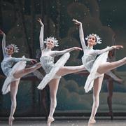 THE NUTCRACKER  - Tchaikovsky's perennial holiday ballet