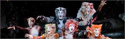 Cats - Live - Toronto