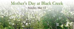 Mother's Day Tea at Black Creek Pioneer Village