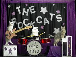 Amazing Acro-Cats and Rock Cats 