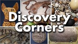 ROM Discovery Corners 