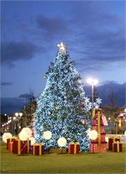 Annual Holiday Tree Lighting and Toronto Firefighters' Toy Drive at Shops at Don Mills 