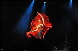 Toronto International Flamenco Festival