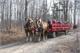 Sugarbush Maple Syrup Festival