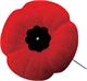 Remembrance Day Service - East York Civic Centre 