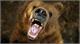 Joel Sartore: Grizzlies, Piranhas and Man-Eating Pigs