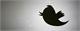 Twitter’s logo is named after Larry Bird