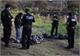 Mass grave in southern Mexico yields 167 bodies