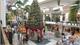 Christmas spending up 7%, survey suggests